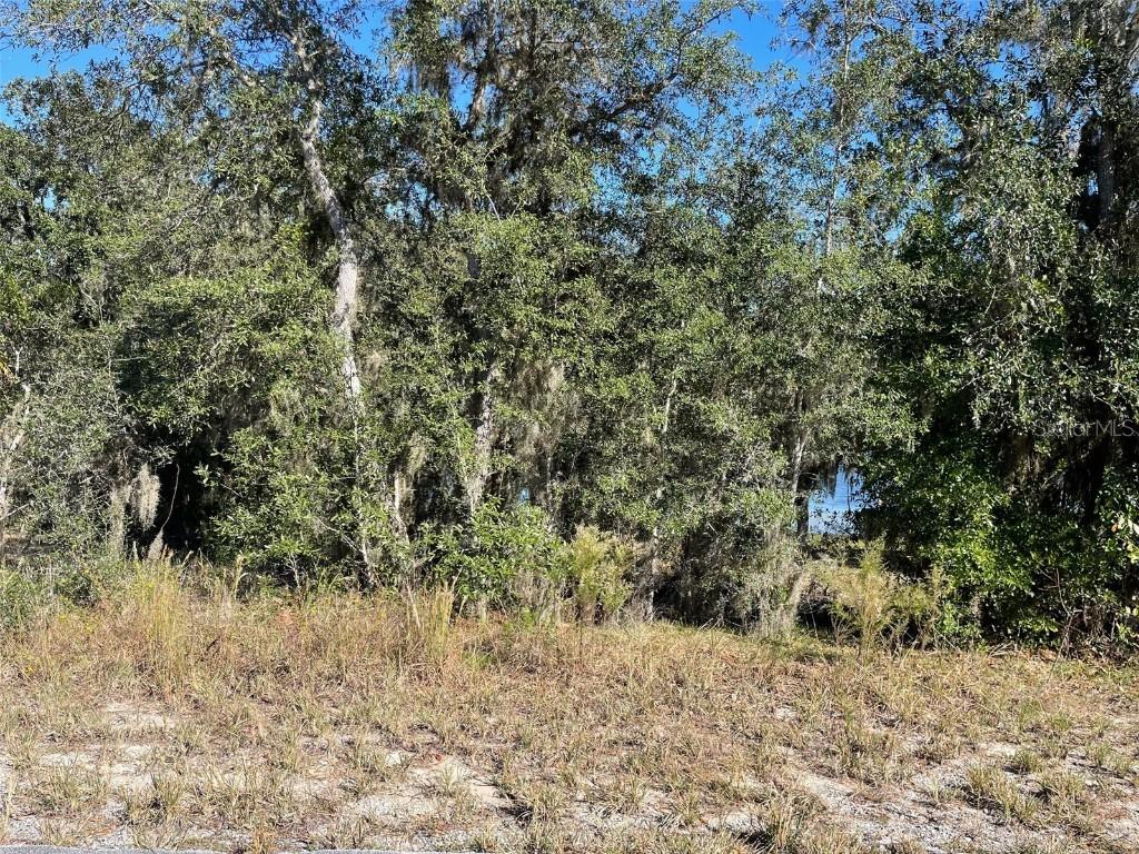 LOTS 444, 445 SW Shorewood Dr., Dunnellon, FL 34431
