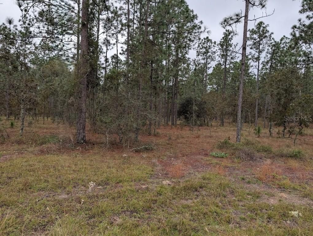lot 13 NW Geranium Ave., Dunnellon, FL 34431
