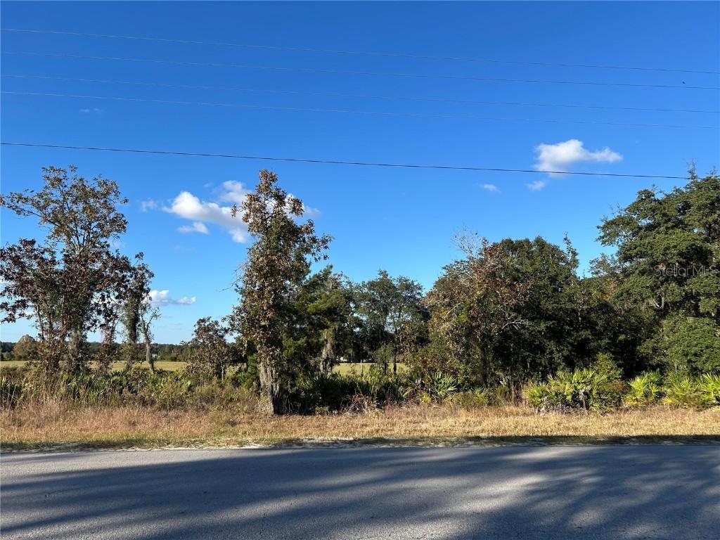 TBD NE 69th Ln., Williston, FL 32696