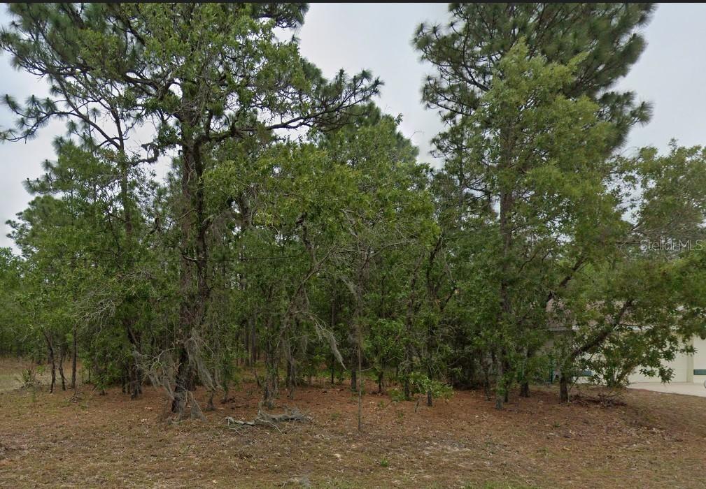 1485 W Lamplighter St., Citrus Springs, FL 34434