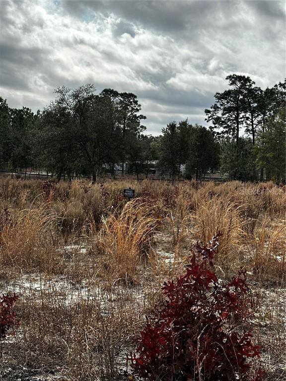 TBA SW 93rd Pl., Dunnellon, FL 34432