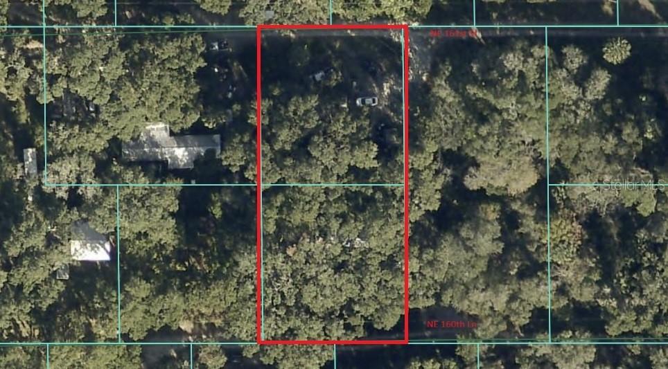 2798 NE 161st St., Citra, FL 32113