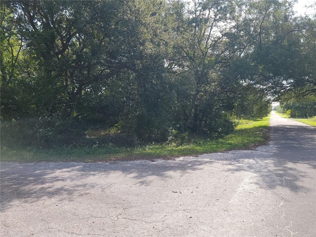 Lot 20 SE Fisher Lane Pass, Ocklawaha, FL 32179