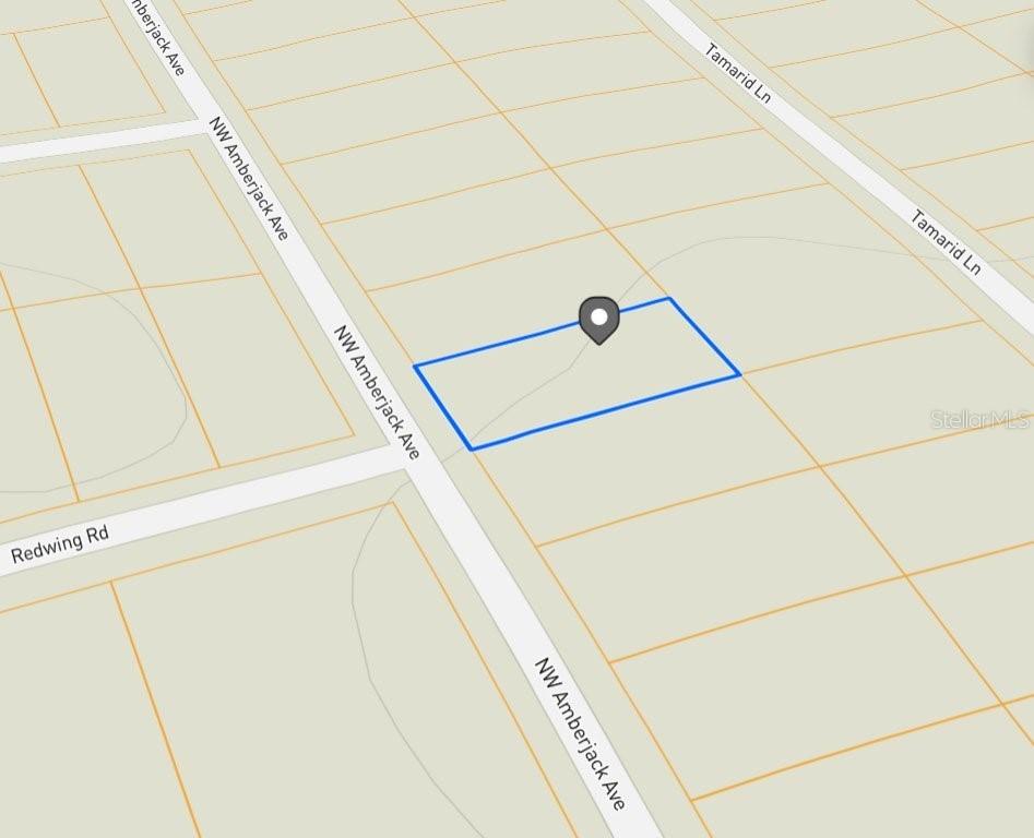 LOT 53 NW Amberjack Ave., Dunnellon, FL 34431