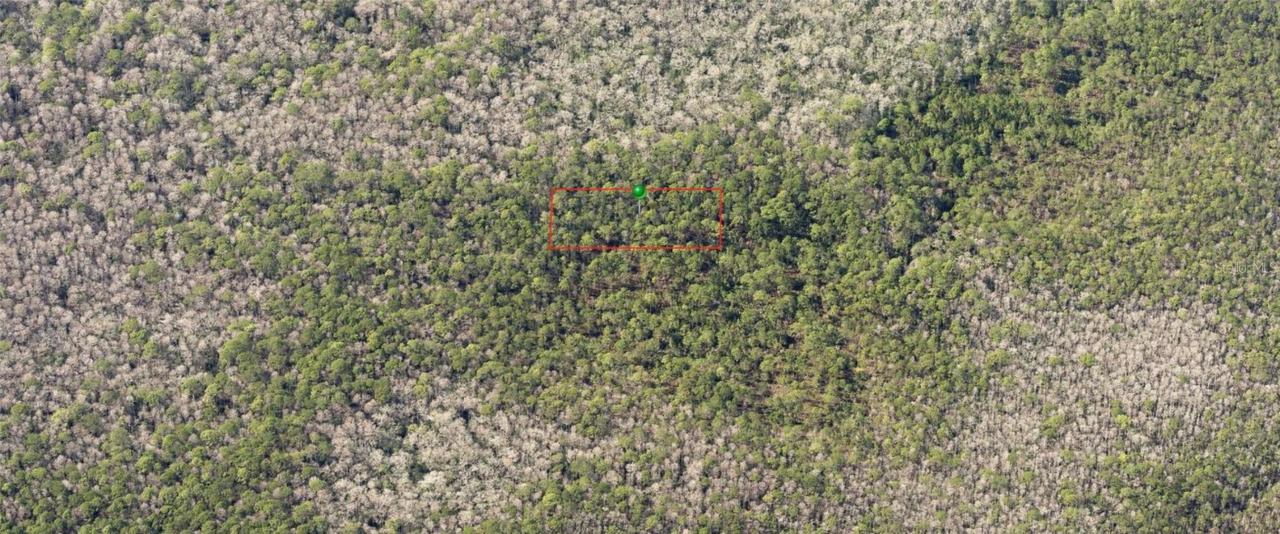 0190 County Road, Deland, FL 32724