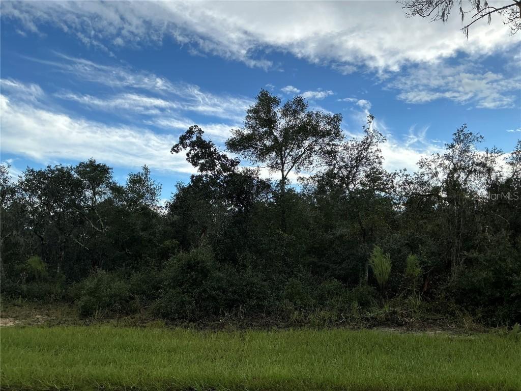 TBD SW 178th Streets, Ocala, FL 34473