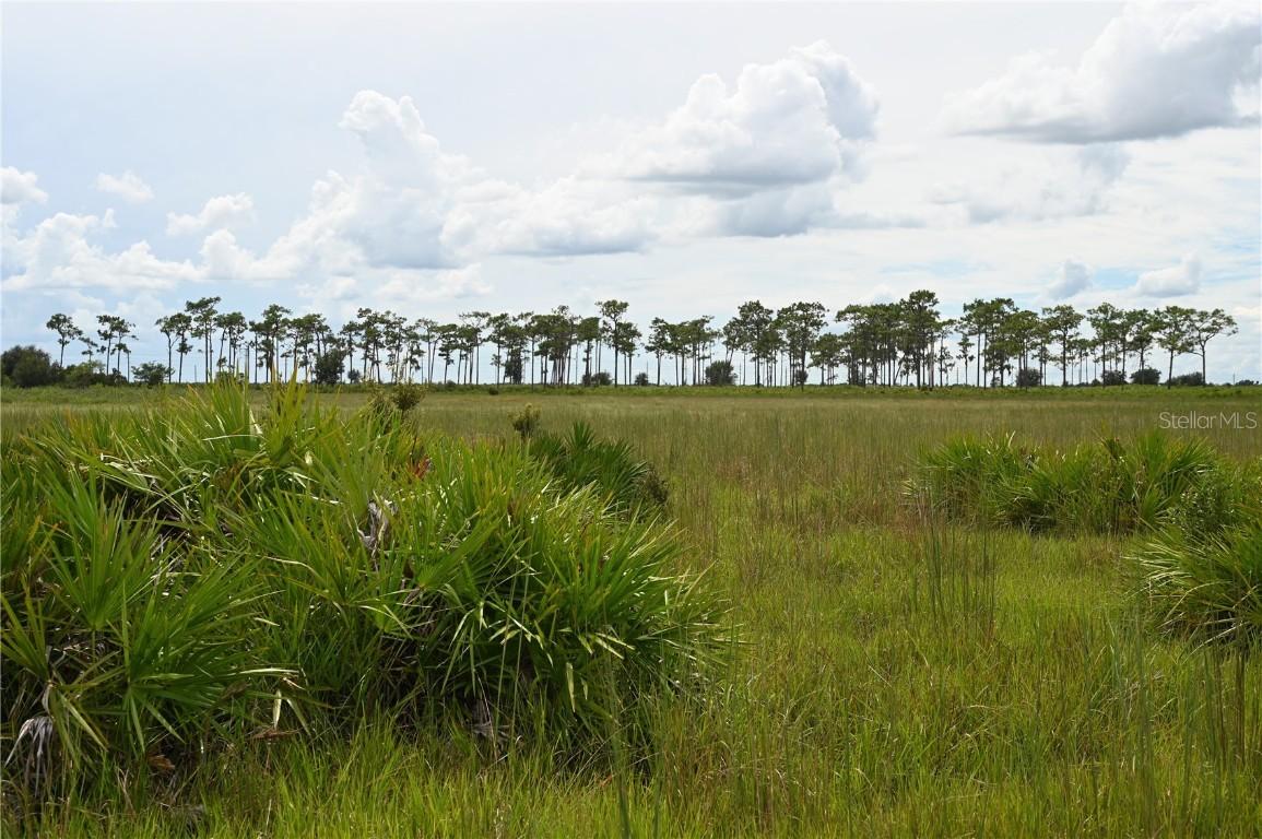 County Line Rd., Fort Meade, FL 33841