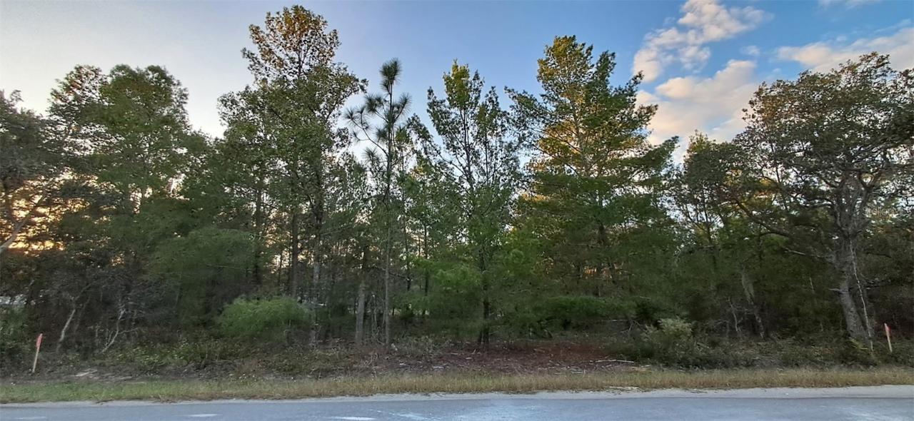 Fisher Course #9, Ocklawaha, FL 32179