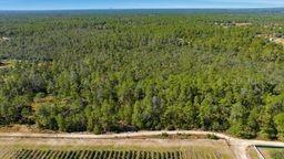 9478 N Timber Creek Ter., Dunnellon, FL 34433