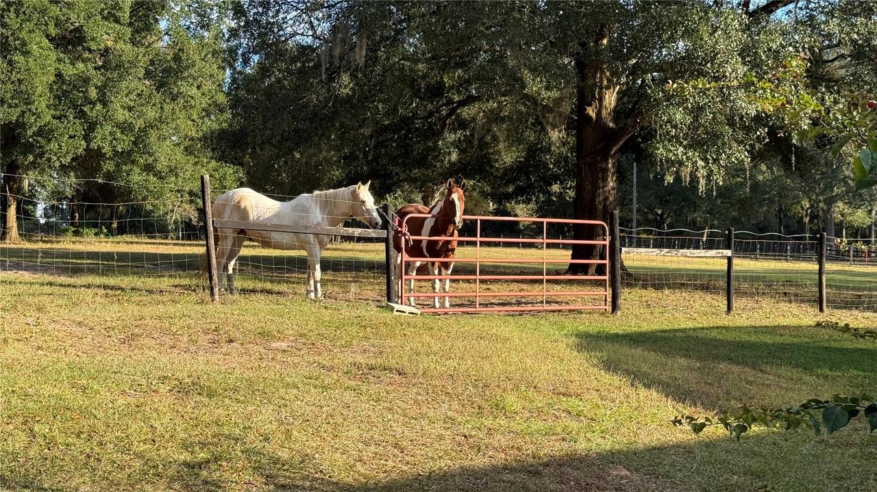 41030 Oak Grove Rd., Weirsdale, FL 32195