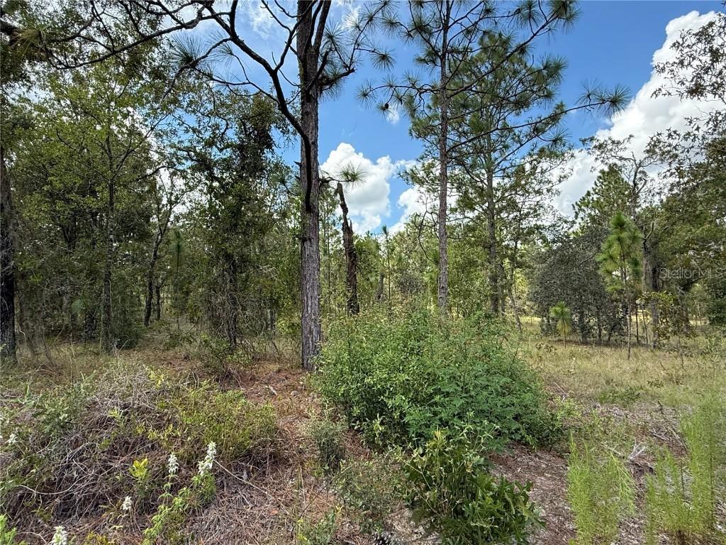 Lot 17 SW Deer Park Heights Rd., Dunnellon, FL 34431