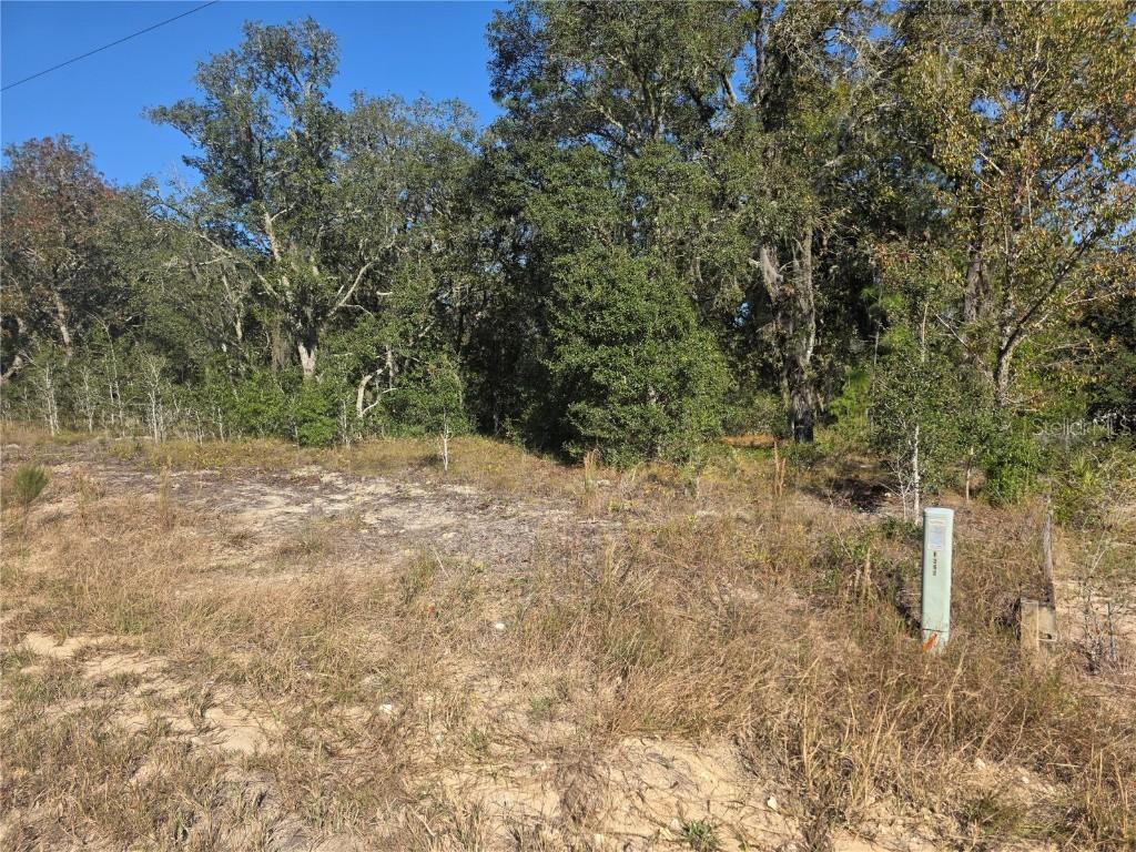 Lot 31 SW Viburnum Rd., Dunnellon, FL 34431