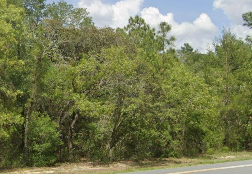 TBD SW 132nd Pl., Ocala, FL 34473