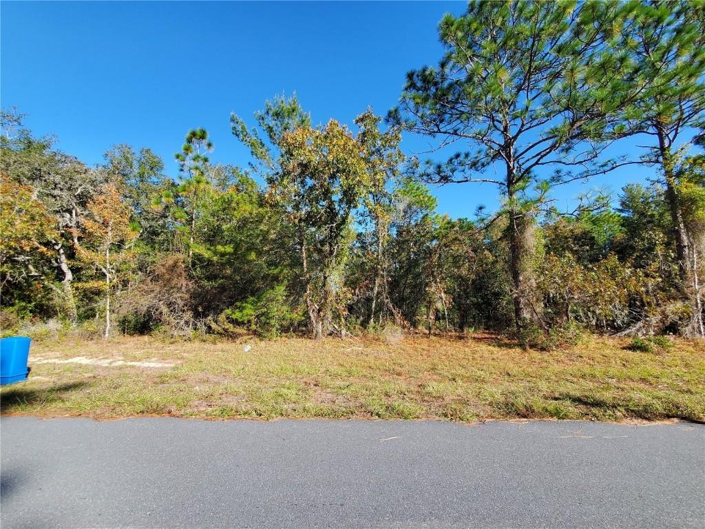 TBD SW 132nd Pl., Ocala, FL 34473