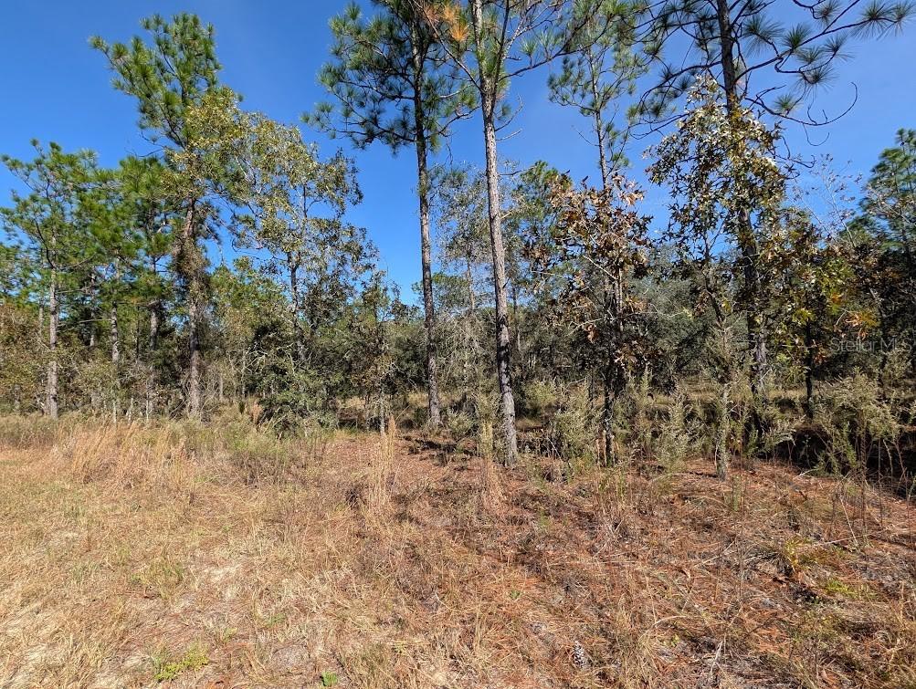 SE 135th Ct., Dunnellon, FL 34431