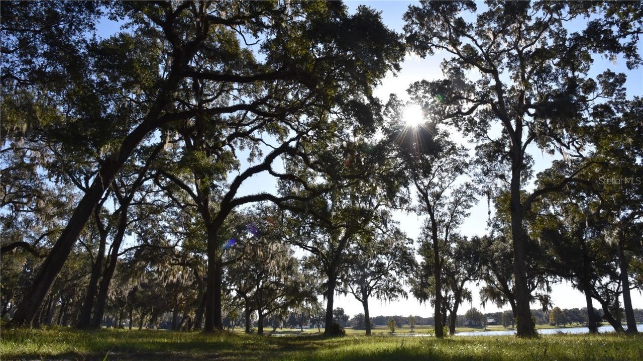 SE Off Hwy 301 Rd. #10B, Summerfield, FL 34491