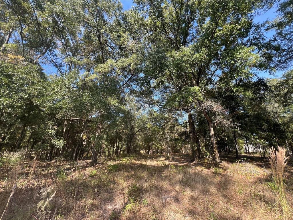 13465 SW 100th St., Dunnellon, FL 34432