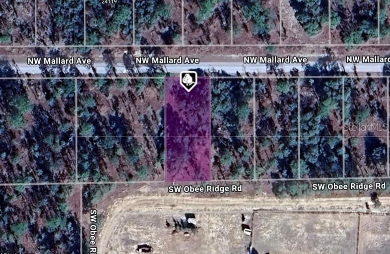 LOT 27 NW Mallard Ave., Dunnellon, FL 34431