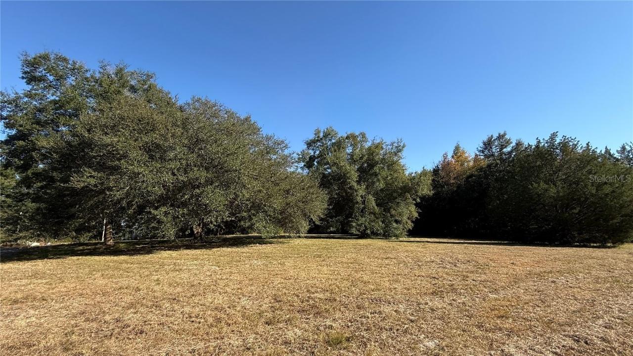 16508 NW 192nd Pl., Williston, FL 32696