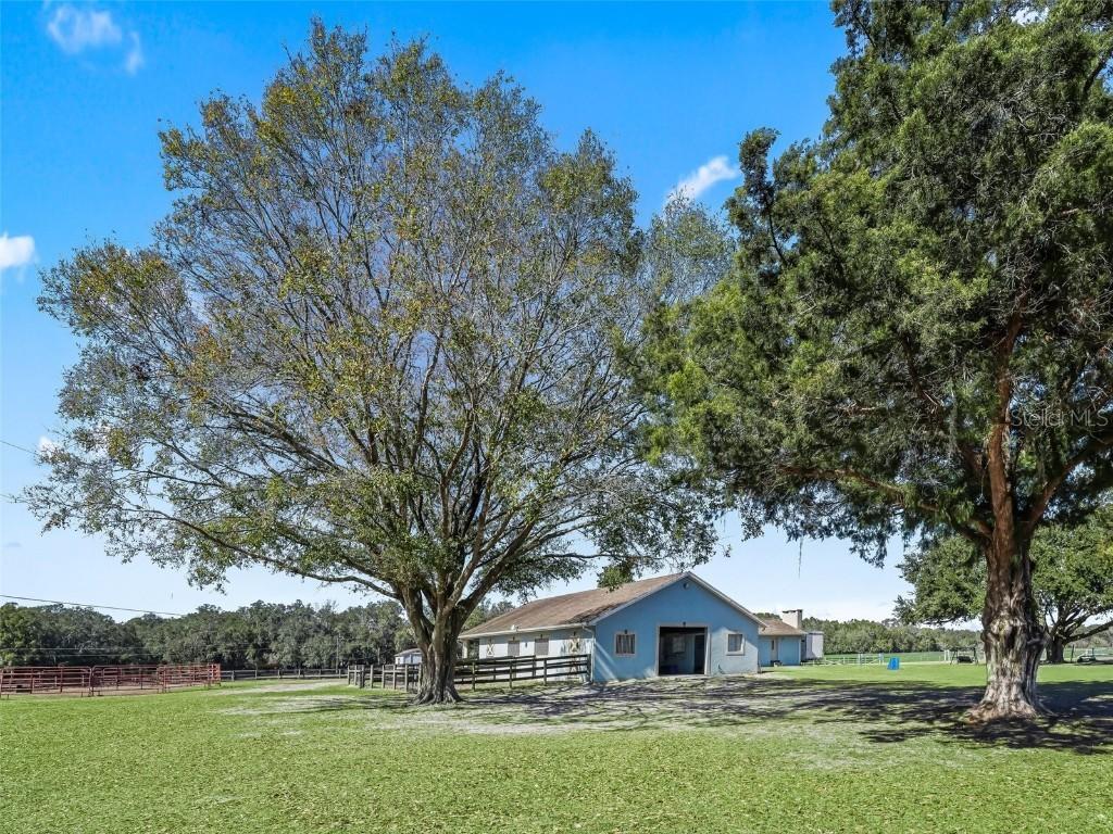 250 NE 195th Ave., Williston, FL 32696