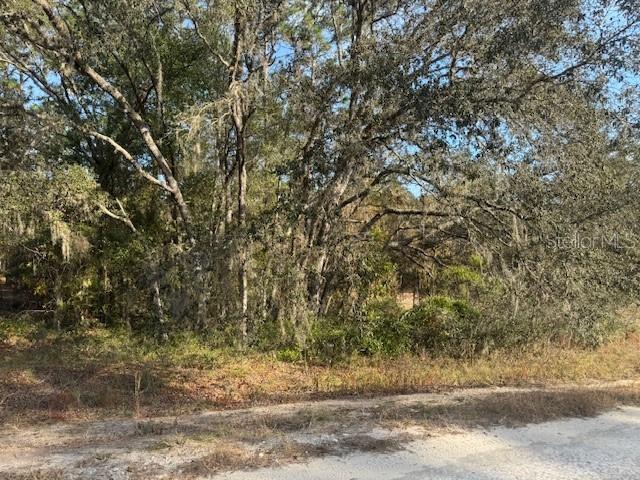 00 SW 136th Ter., Dunnellon, FL 34432