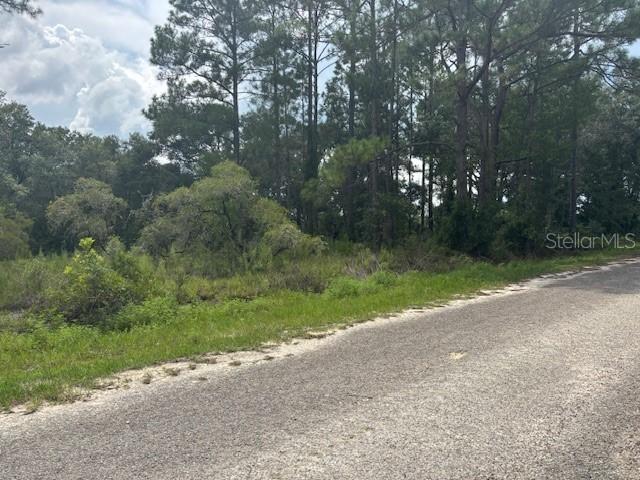 0000 SE 123rd Ave., Dunnellon, FL 34431