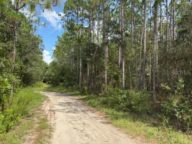 0000 SW 39th St., Dunnellon, FL 34432