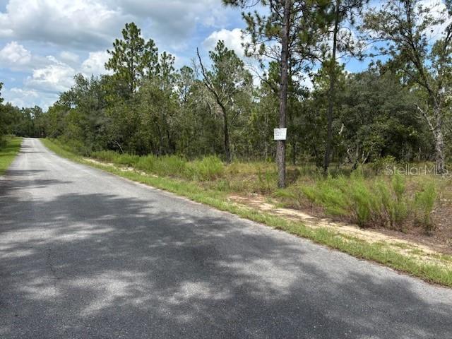 0000 SW Seaweed Ave., Dunnellon, FL 34431