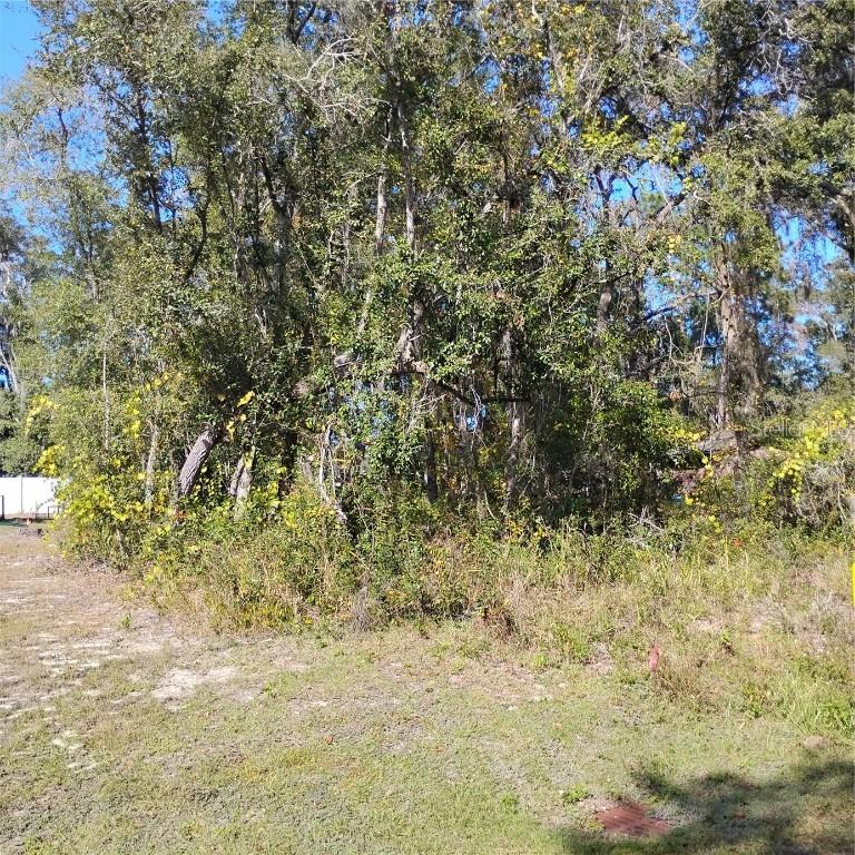 TBD SE 61st Pl., Ocklawaha, FL 32179
