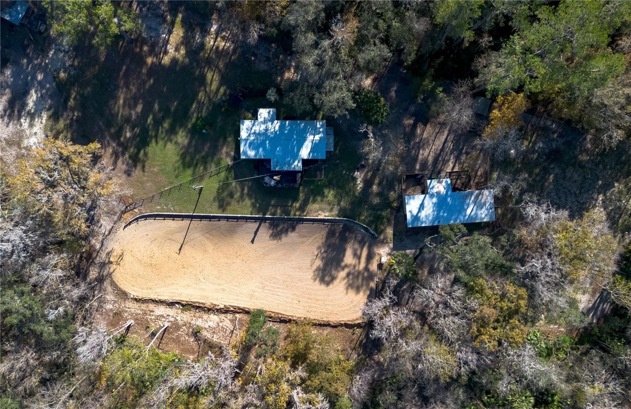22924 NW 91st Court Rd., Micanopy, FL 32667