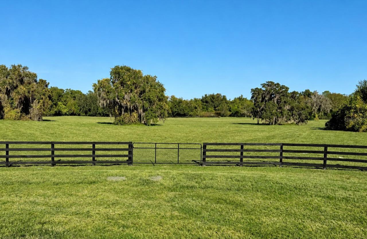 SE 116th Pl., Ocala, FL 34480