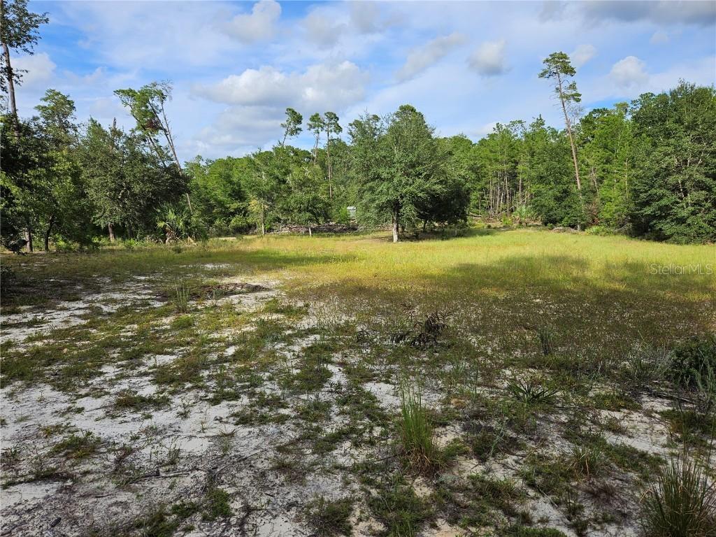 238 Cemetery Rd., Fort Mc Coy, FL 32134