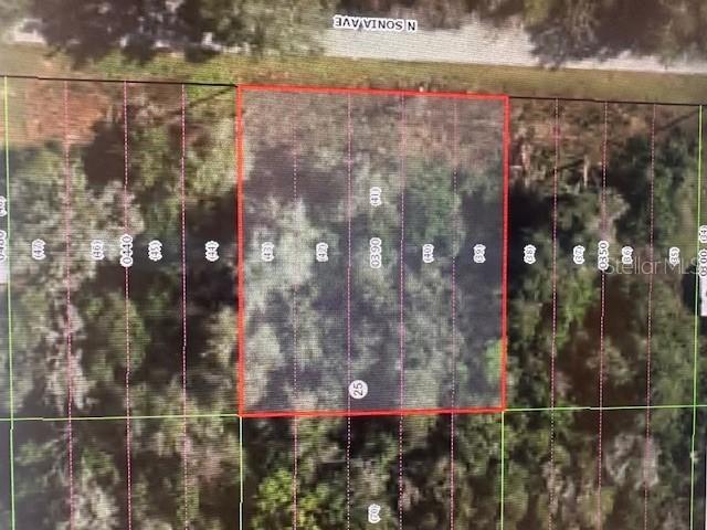 1018 N Sonia Ave., Inverness, FL 34453