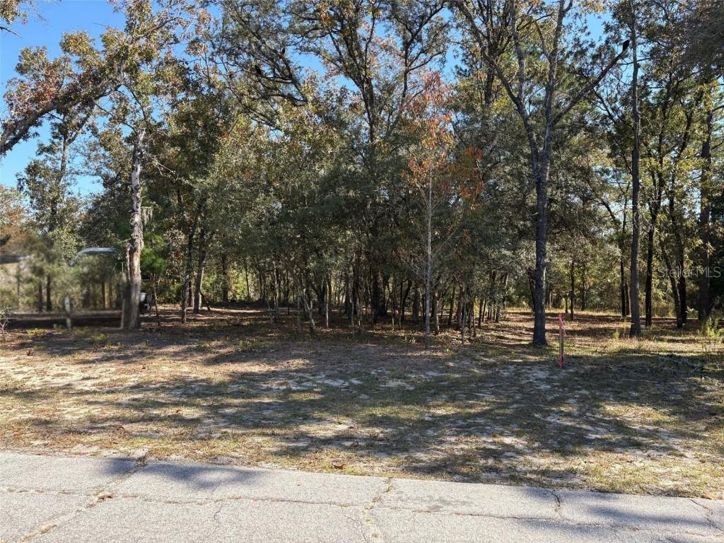 10079 N Ruth Ter., Citrus Springs, FL 34434