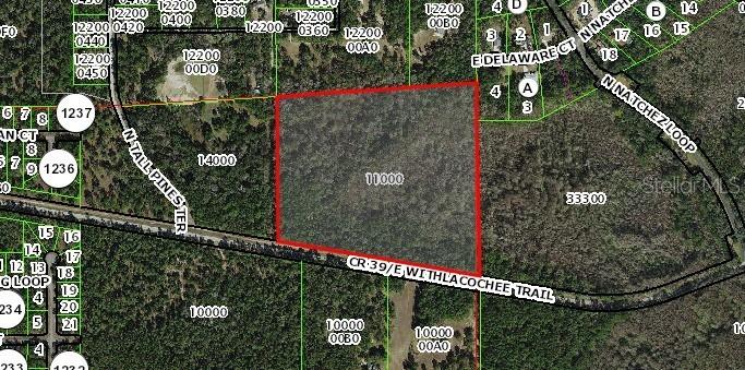 1785 E Withlacoochee Trl, Dunnellon, FL 34434