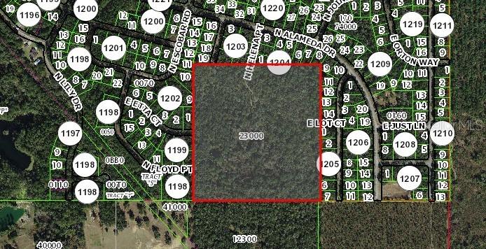 E Lot Ct, Citrus Springs, FL 34434