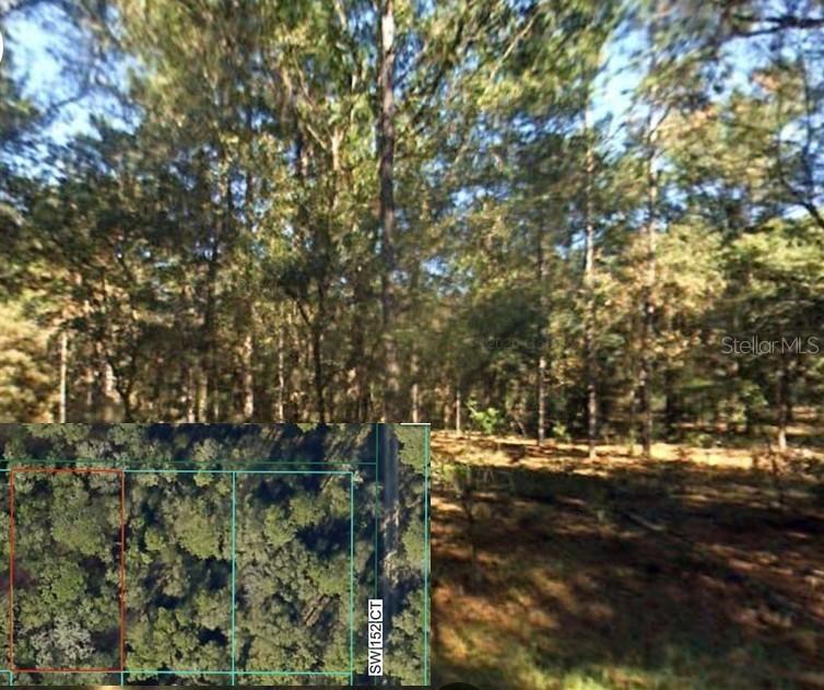 Sw 12 Pl. #LOT 3, Ocala, FL 34481
