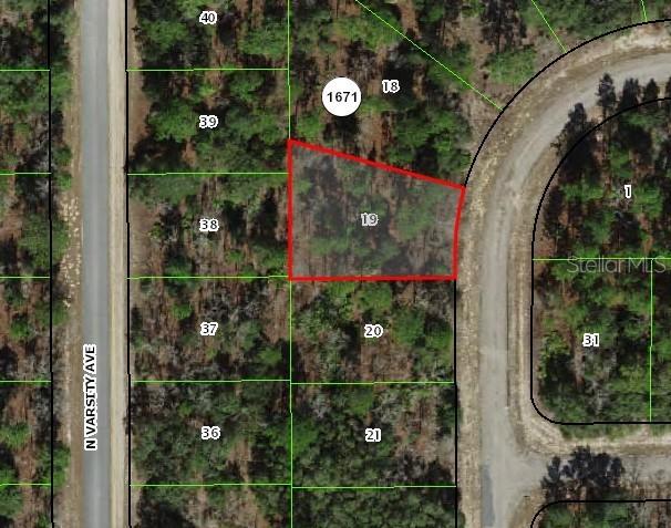 1947 W Skyline Dr., Citrus Springs, FL 34434