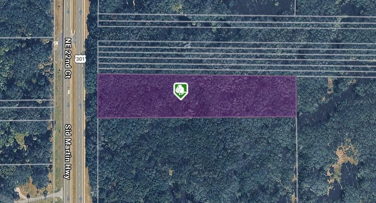 TBD N Hwy 301, Citra, FL 32113
