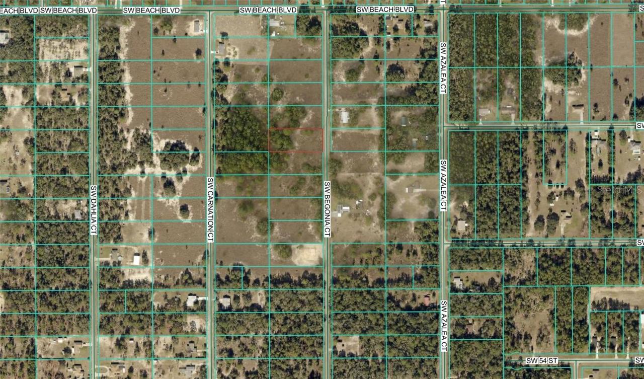 Begonia Ct., Dunnellon, FL 34431