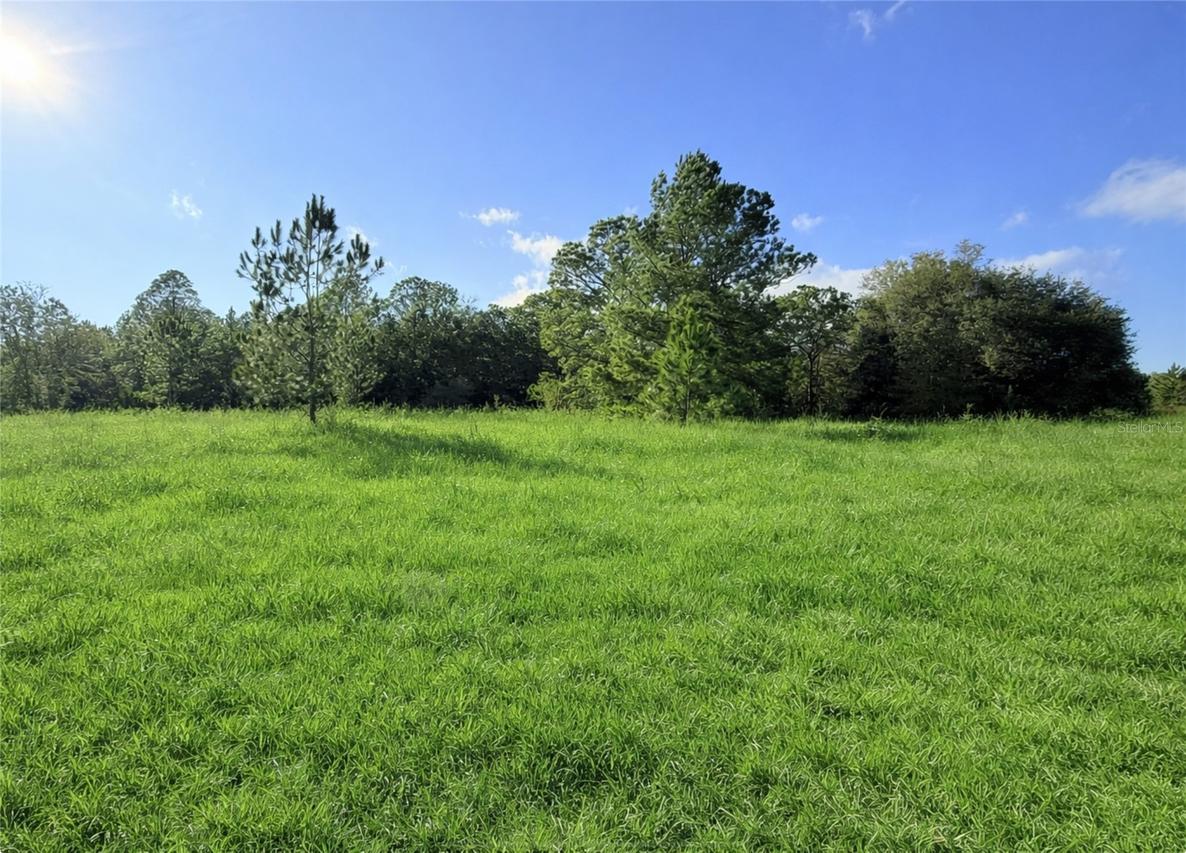 Begonia Ct., Dunnellon, FL 34431