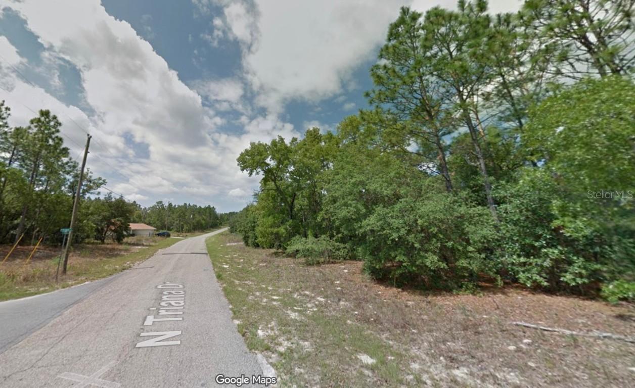 8100 N Triana Dr., Citrus Springs, FL 34434