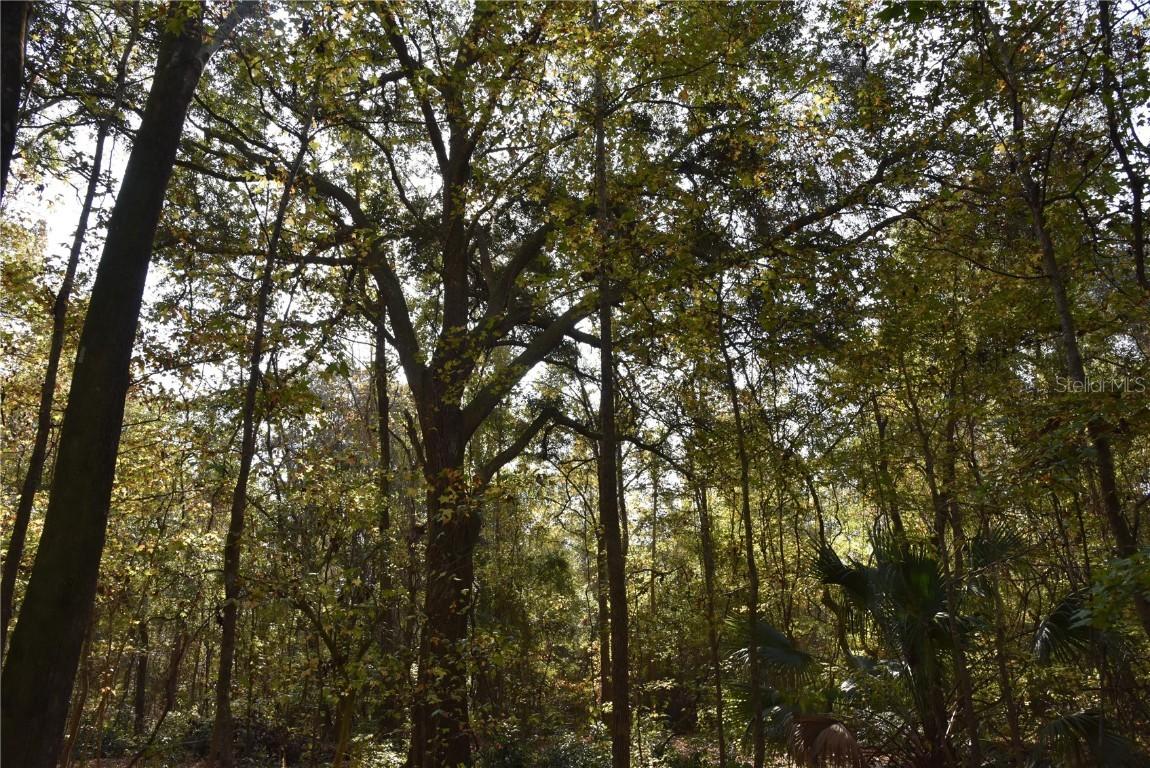 1220 SE Us Highway 301, Hawthorne, FL 32640