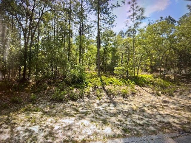 4060 W Alamo Dr., Beverly Hills, FL 34465