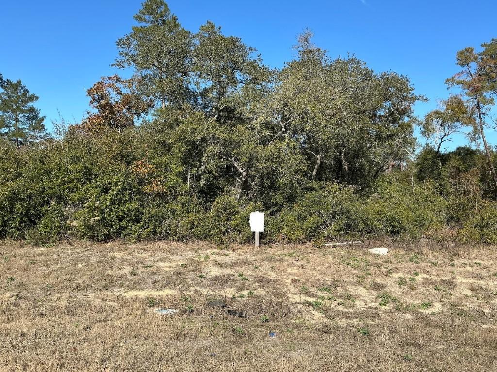 Lot 11 SW 165th Loop, Ocala, FL 34473
