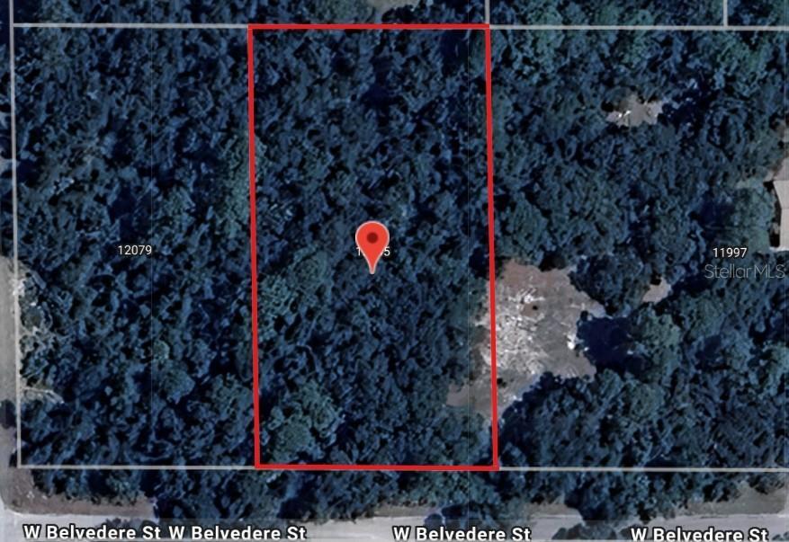 12045 W Belvedere St., Crystal River, FL 34428