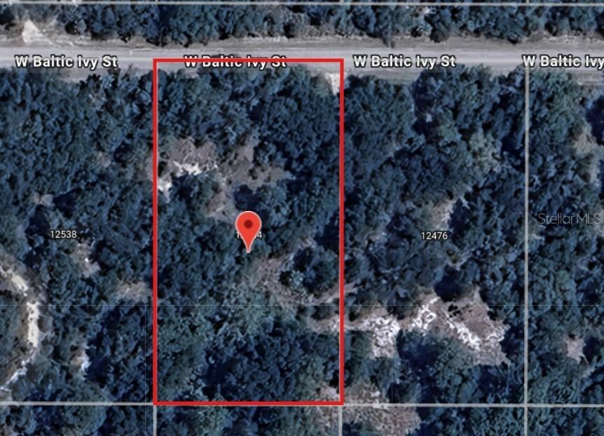 12504 W Baltic Ivy St., Crystal River, FL 34428