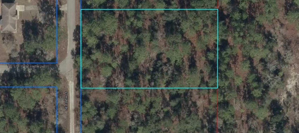Lot 8 SE 139 Ct., Dunnellon, FL 34434