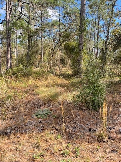 Lot 8 SE 139 Ct., Dunnellon, FL 34434