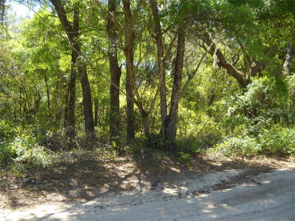 00 NE 167 Pl., Citra, FL 32113